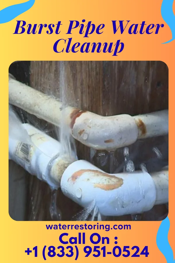 Burst Pipe Water Cleanup in Fawn Grove, PA