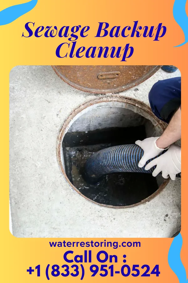 Sewage Backup Cleanup in Fawn Grove, PA