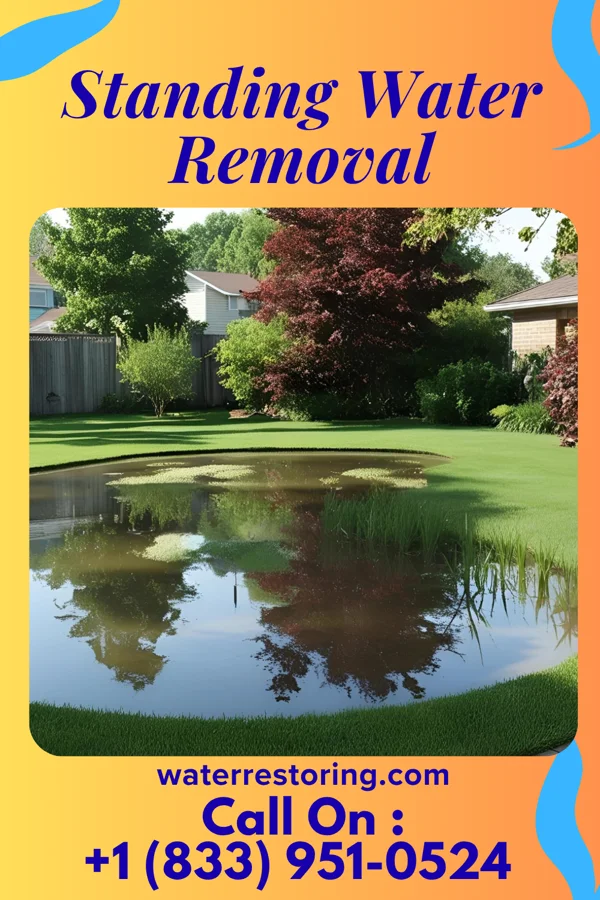 Standing Water Removal in Fawn Grove, PA